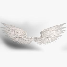 3D Angel Wings
